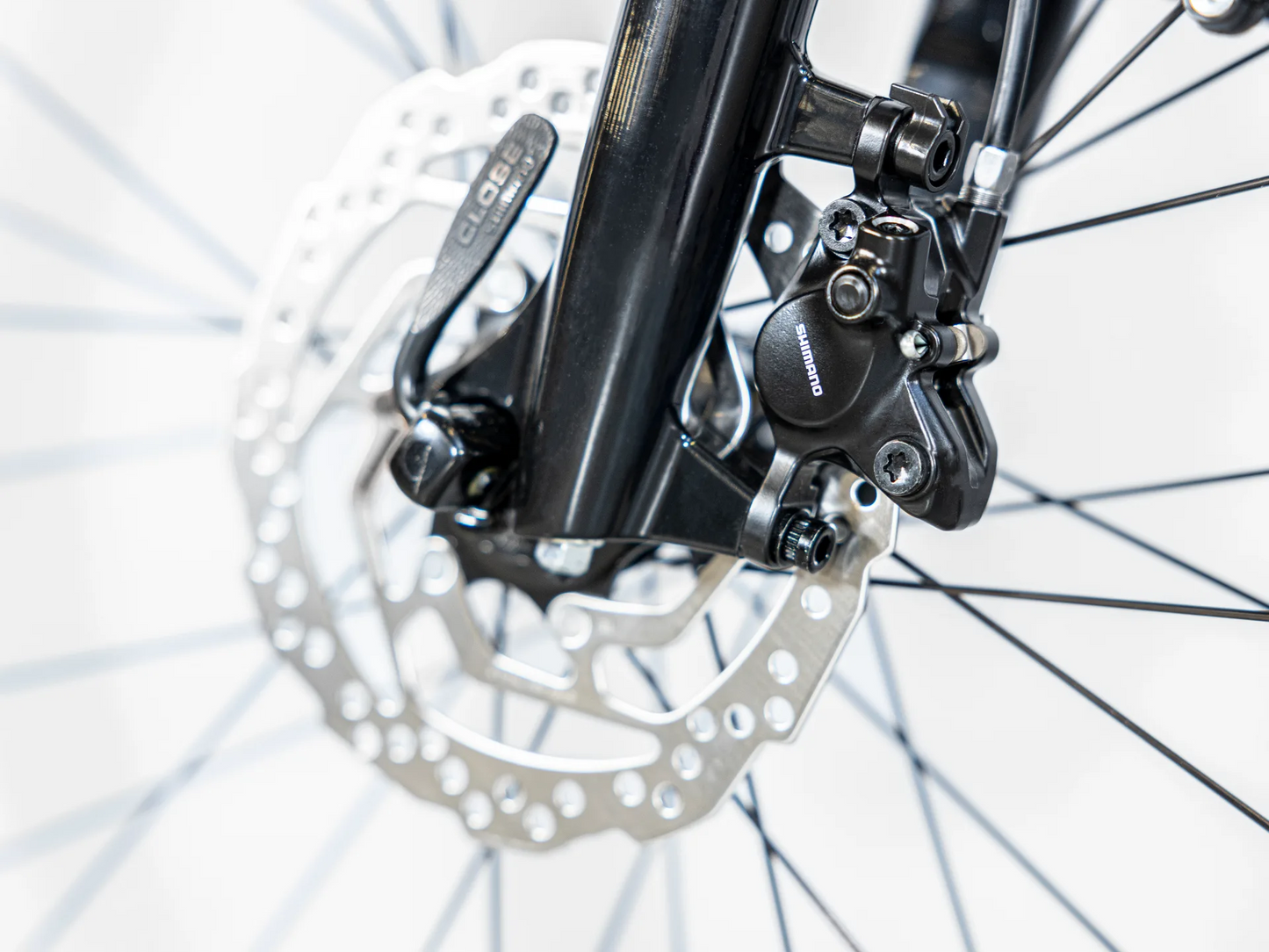 Trek Verve+ 1 Lowstep (Penny Flake)