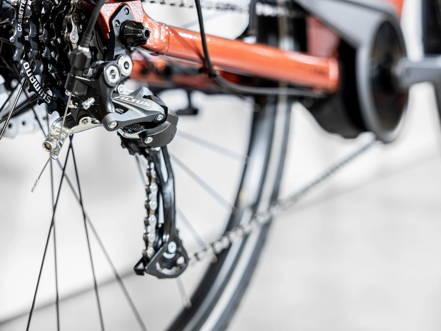 Trek Verve+ 1 Lowstep (Penny Flake)