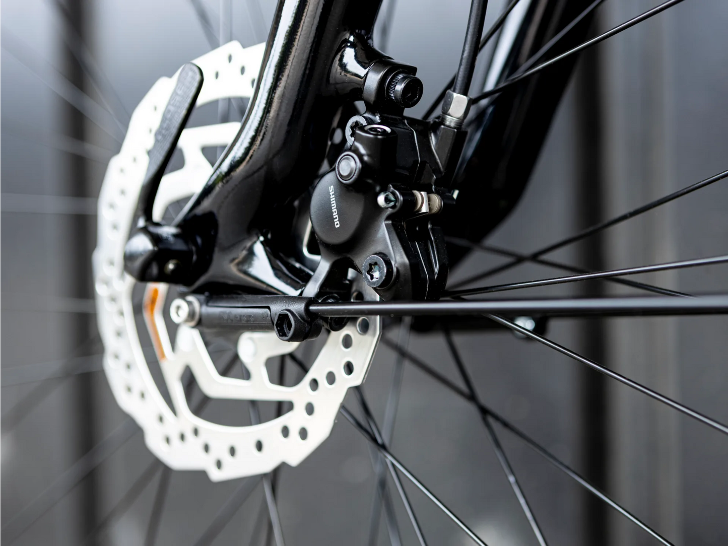 Trek Verve+ 4 (Lithium Grey)