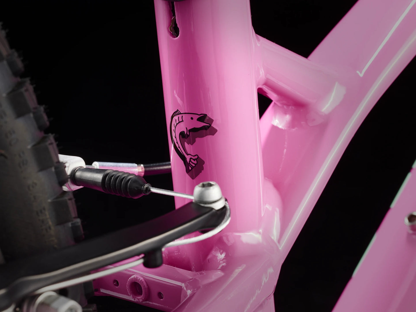 Trek Wahoo 20 Path (Pink frosting)