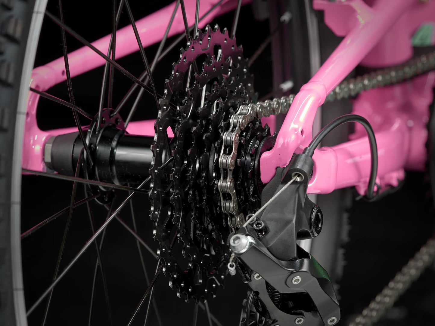 Trek Wahoo 20 Path (Pink frosting)