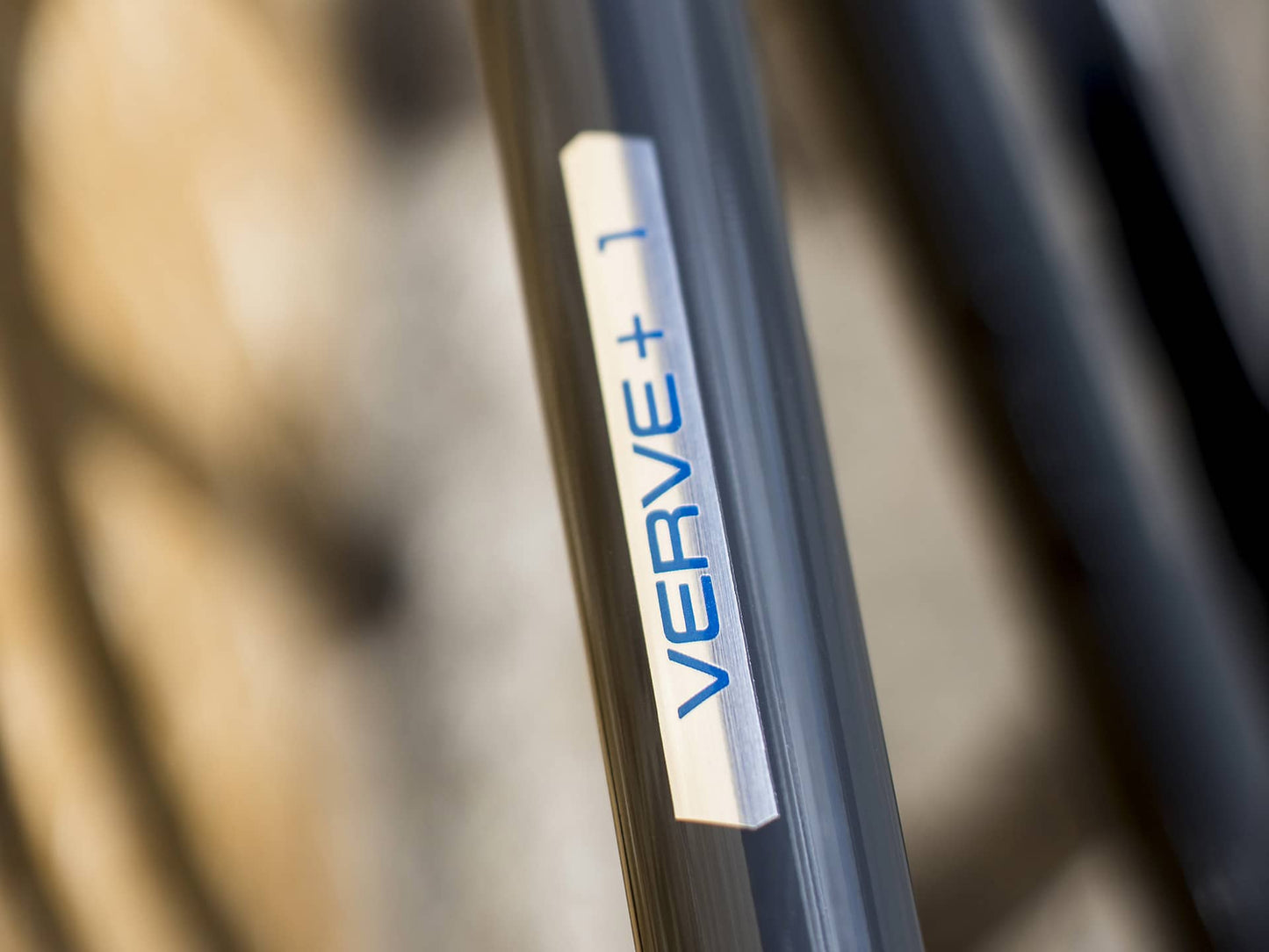 Trek Verve+ 1 Solid Charchoal Logo