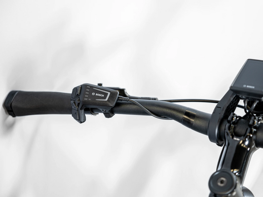 Trek Allant+ 5 Stagger (Trek Black)