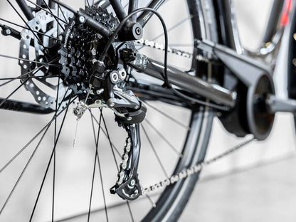 Trek Verve+ 2 Lowstep (Dnister Black)